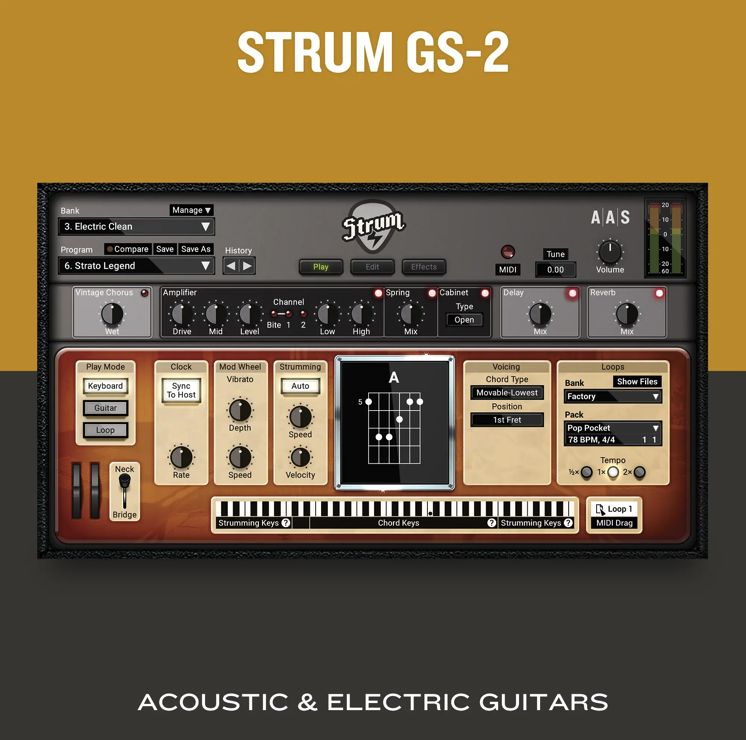 AAS Applied Acoustics Systems Strum GS-2 + 17x Packs
